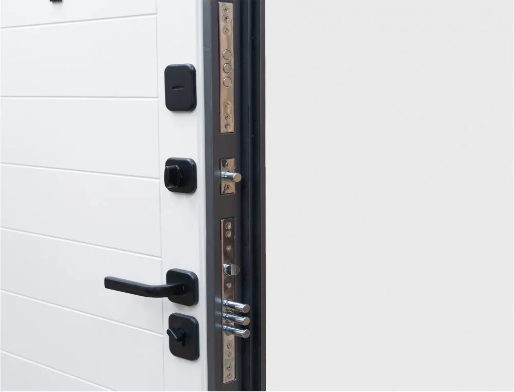 Товар Дверь Цербер Lang-yue Только 96 DIS007135